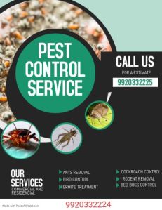 termite control services