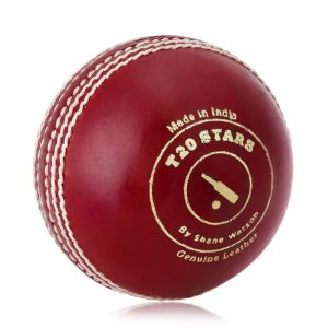 Red T20 Cricket Leather balls from Meerut