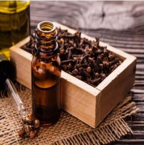 Clove Bud Oil