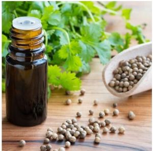 coriander essential oil