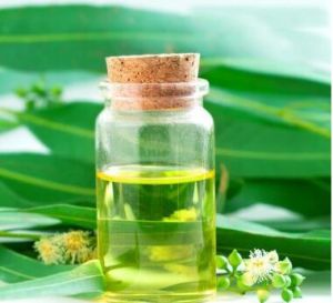 Eucalyptus Oil