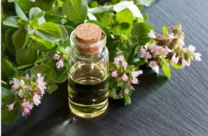 Oregano Essential oil