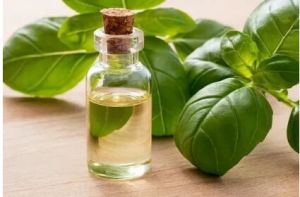 PURE BASIL SWEET ESSENTIAL OIL