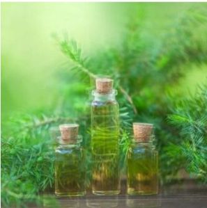 Tea Tree Essential Oil