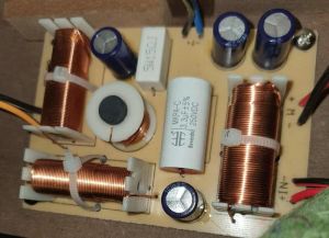 Powered Speakers
