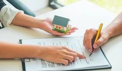 Property Cancellation Deed Drafting Work