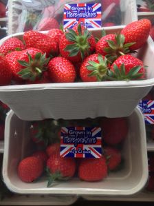 Fruit Moulded Fiber Pulp Tray