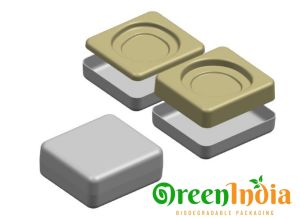 Wet Press Moulded Pulp Tray