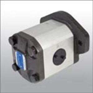 PG1-Series Gear Pump