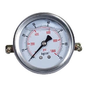 Pressure Gauge