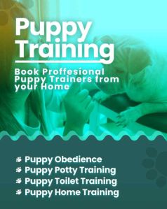 dog training