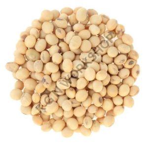 dry Soybean Seeds