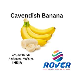 Fresh Cavendish Bananas