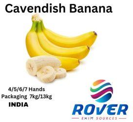 Fresh Cavendish Bananas