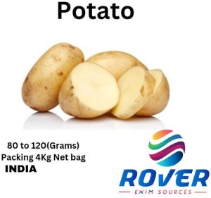 Potato