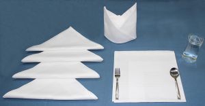 Satin Band Napkin