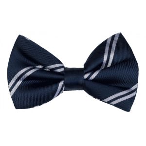 school bow ties