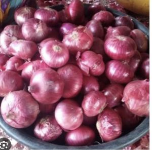 Red Onion