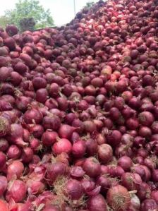 Red Onion