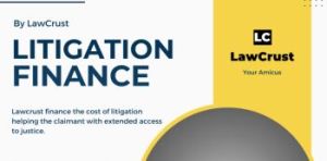 Litigation Finance - Lawyer