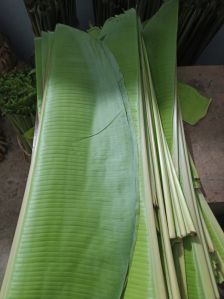 Banana Leaf