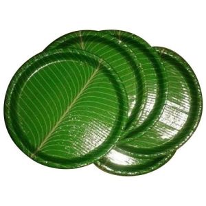 Disposable Corrugated Paper Plate