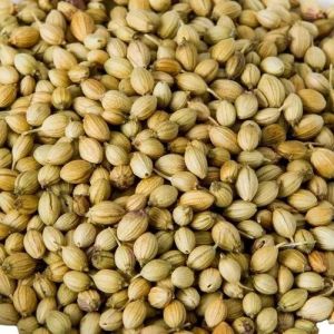 Coriander Seed