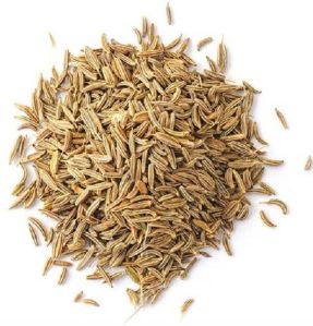 Cumin Seeds