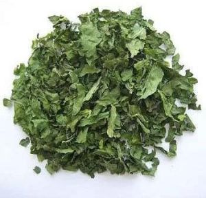 Dehydrated Spinach Leaves