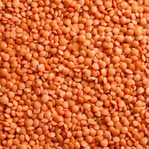 Red Lentils