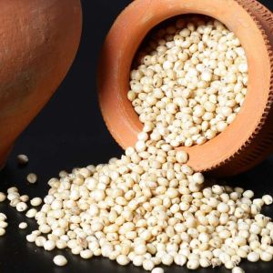 Sorghum Millets