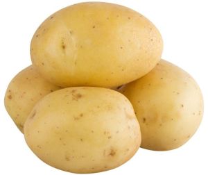 Potato