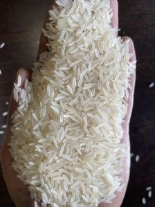 1121 Sella Rice