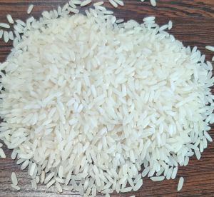 ir64 rice