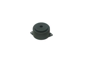 Automobile Buzzer