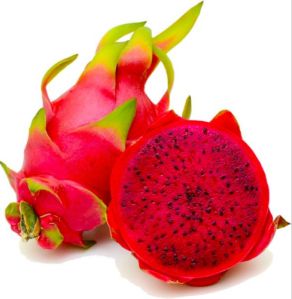 Dragon fruit