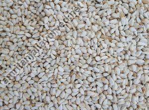 Safflower Seeds Kusum