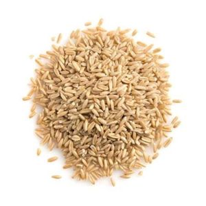 kiln dried hulled oats