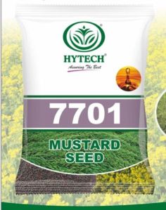 Hytech 7701 Mustard Seeds