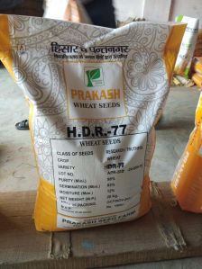 Prakash HDR 77 Wheat Seeds