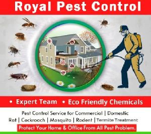 Pest Control Services