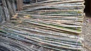 Round 4inch Bamboo Pole