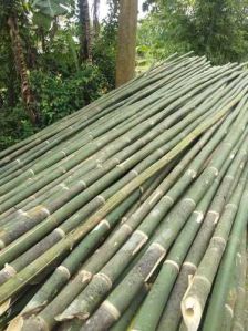 Round 6inch Bamboo Pole