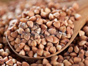 Buckwheat Millet Seed
