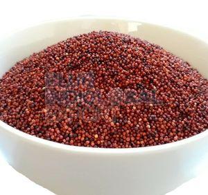 Finger Millet Seed