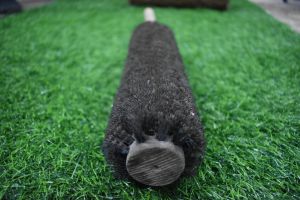 Broom Brush