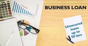 Business Loan Consultancy Service