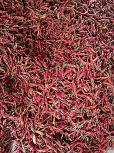 Dry Red Chili