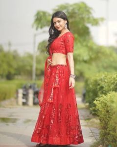 Sequins Embroidery Work Net Lehenga Choli