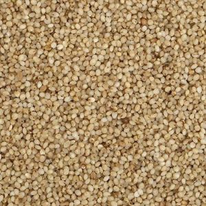 Barnyard Millets Seeds